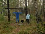 Overallen som dras upp just framför hunden är en stark upplevelse för många hundar. Här ska Amigo undersöka vad som just har skrämt honom, han är till synes kanska oberörd.